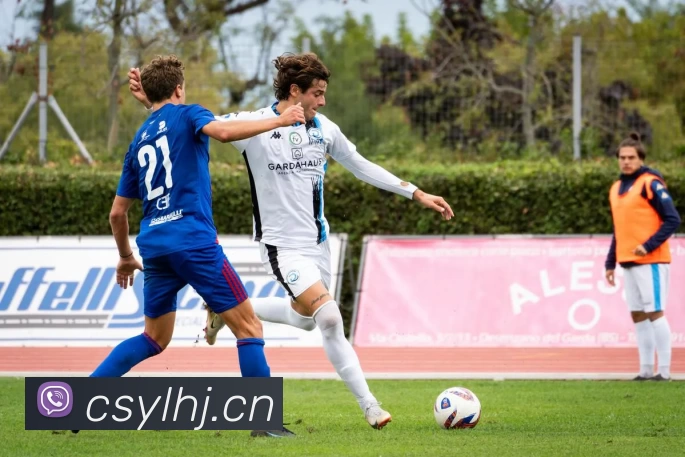 米兰网页版登录入口 - 米兰(中国)APP 封面图